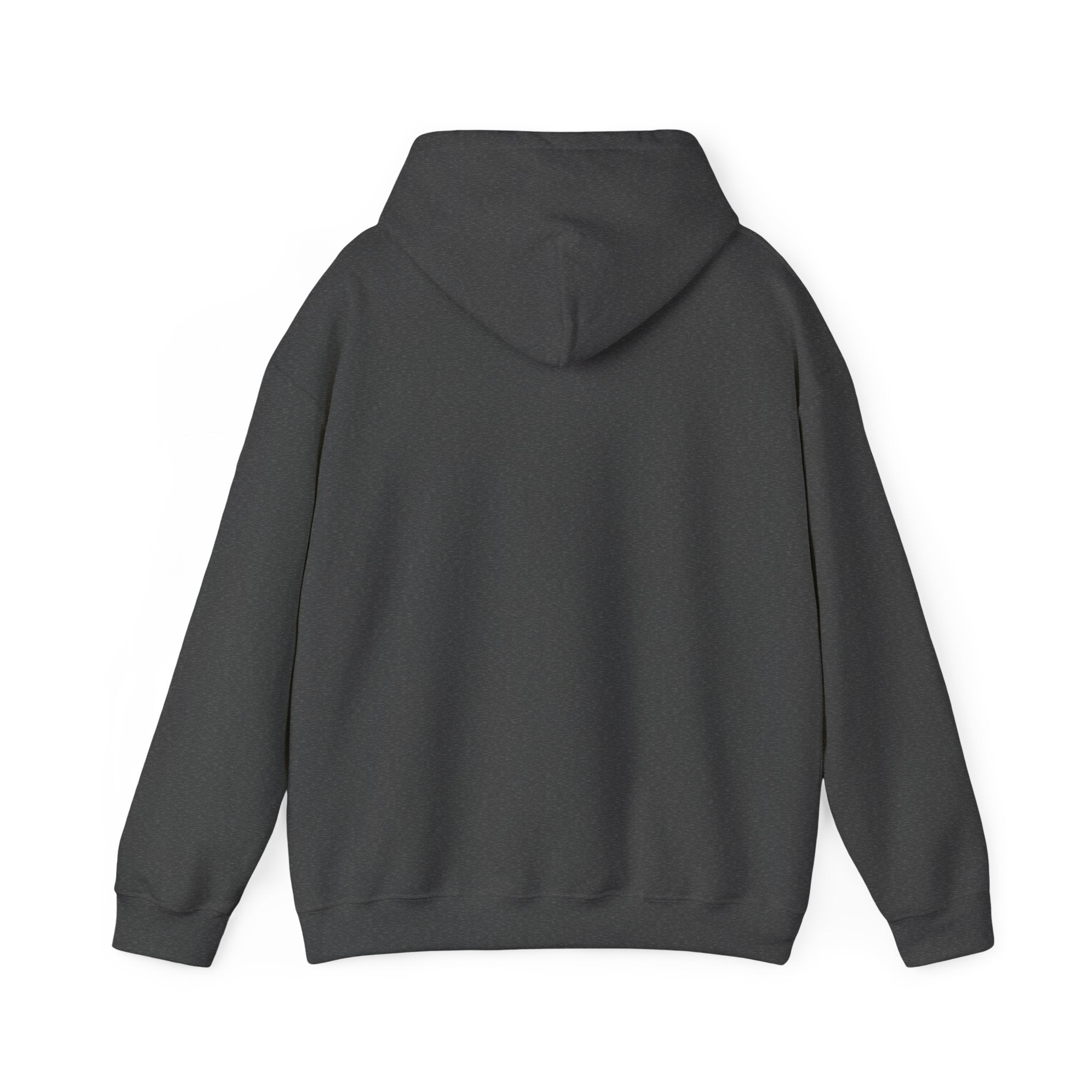 Stronger Than The Storm Hoodie — Inspirational Rasta Script Pullover